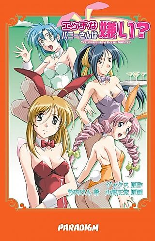 Cover image for the novel called You must like a horny bunny?
