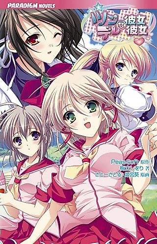 Cover image for the novel called Tsun na Kanojo Dere na Kanojo