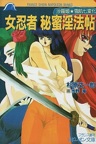 Cover image for the novel called Onna Ninja Himitsu Inhoujou: Sagiri-hime Yukihada Shichihenge