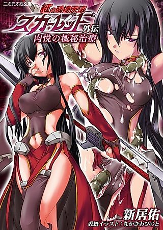 Cover image for the novel called Kurenai no Hakai Tenshi Scarlet Gaiden: Nikuetsu no Gokuhi Chiryou