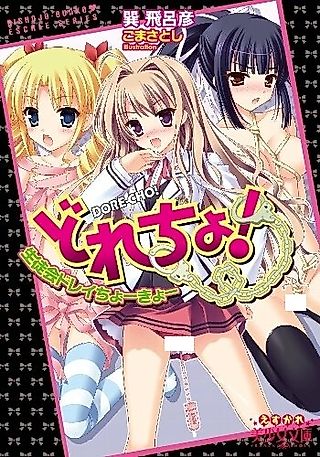 Cover image for the novel called Dorecho!: Seitokai Dorei Choukyou
