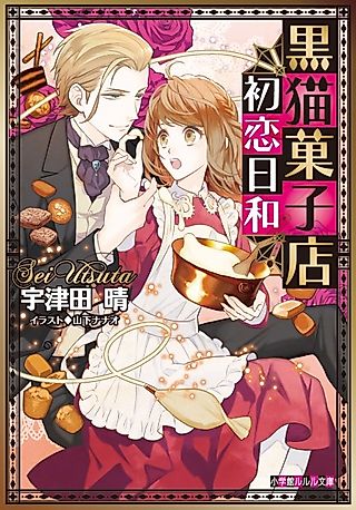 Cover image for the novel called Kuroneko Kashiten Hatsukoi Biyori