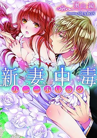 Cover image for the novel called Niizuma Chuudoku
