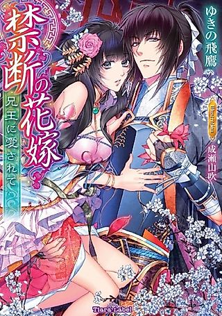 Cover image for the novel called Kindan no Hanayome