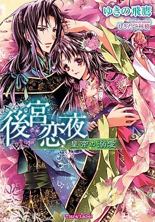 Cover image for the novel called Koukyuu Renya: Koutei no Dekiai