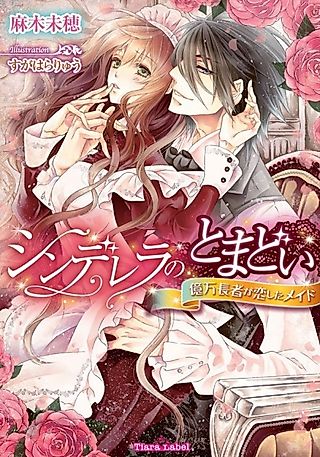 Cover image for the novel called Cinderella no Tomadoi: Okuman Chouja ga Koishita Maid