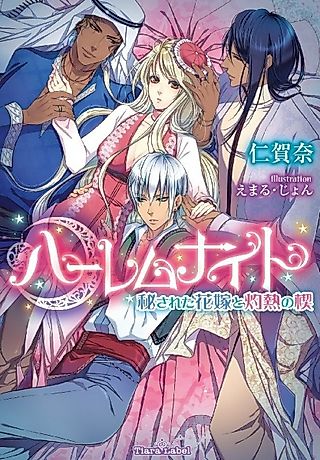 Cover image for the novel called Harem Night