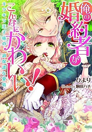 Cover image for the novel called Ore no Konyakusha ga Konna ni Kawaii! Kirakira Oujisama no Kahogo na Aijou