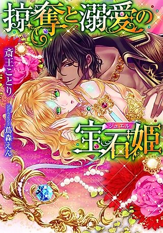 Cover image for the novel called Ryakudatsu to Dekiai no Houseki-hime