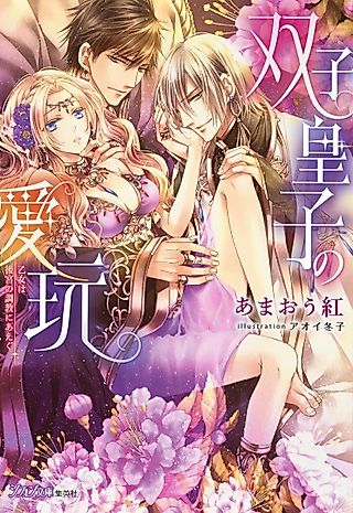 Cover image for the novel called Futago Ouji no Aigan: Otome wa Koukyuu no Choukyou ni Aegu