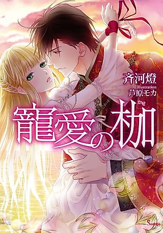 Cover image for the novel called Chouai no Kase