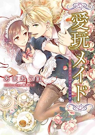 Cover image for the novel called Aigan Maid: Ouji to Sugosu Himitsu no Yoru