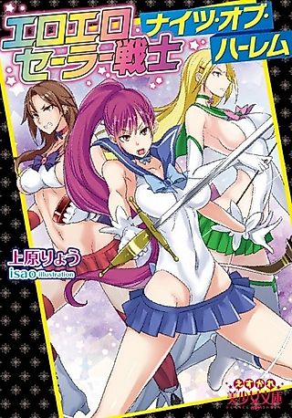 Cover image for the novel called Ero Ero Sailor Senshi Knights of Harem