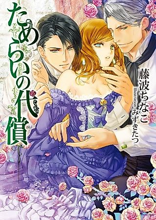 Cover image for the novel called Tamerai no Daishou