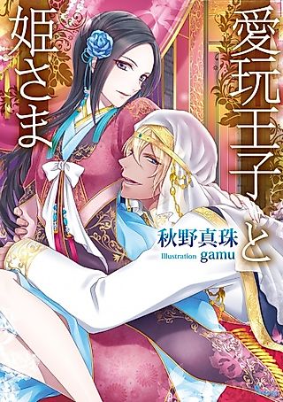 Cover image for the novel called Aigan Ouji to Himesama
