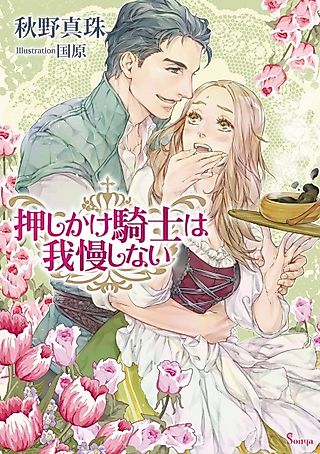 Cover image for the novel called Oshikake Kishi wa Gaman shinai