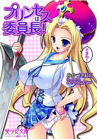 Cover image for the novel called Princess wa Iinchou!