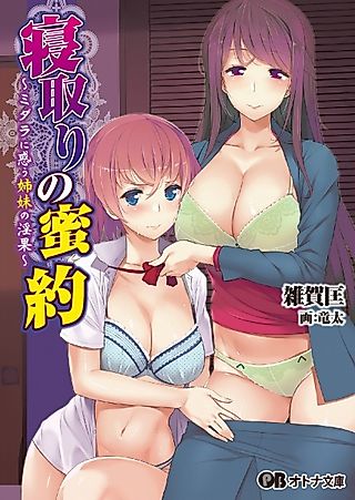 Cover image for the novel called Netori no Mitsuyaku: Midara ni Madou Shimai no Inga