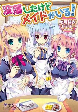 Cover image for the novel called Botsuraku shita kedo Maid ga Iru!
