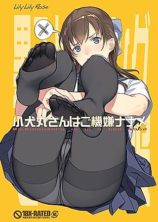 Cover image for the other called Koinumaru-san