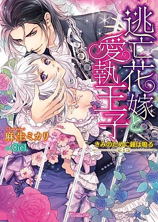 Cover image for the novel called Toubou Hanayome to Aishuu Ouji: Kimi no Tame ni Kane wa Naru