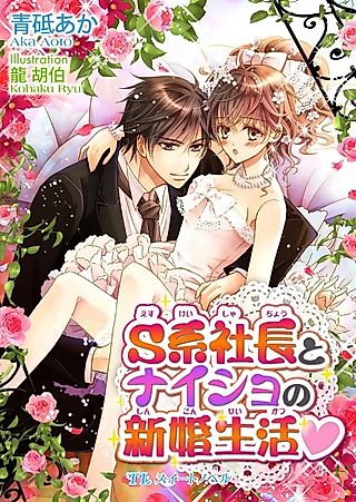 Cover image for the novel called S-kei Shachou to Naisho no Shinkon Seikatsu♥