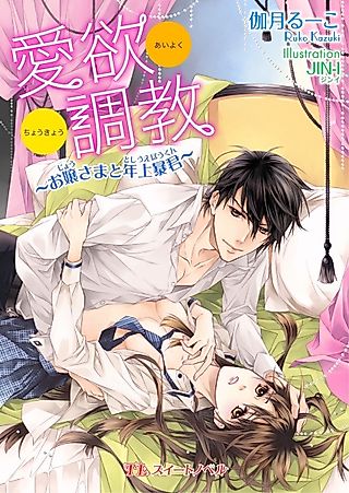 Cover image for the novel called Aiyoku Choukyou: Ojousama to Toshiue Boukun