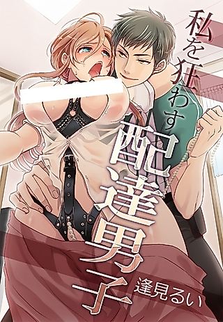 Cover image for the novel called Watashi wo Kuruwasu Haitatsu Danshi