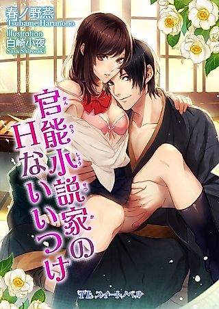 Cover image for the novel called Kannou Shousetsuka no H na Iitsuke