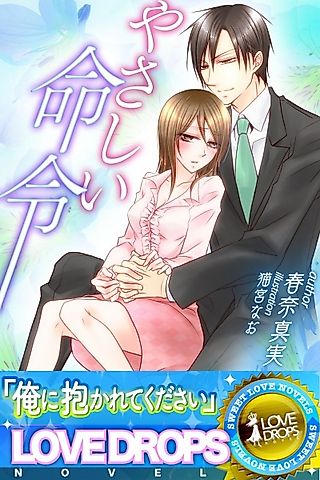 Cover image for the novel called Yasashii Meirei