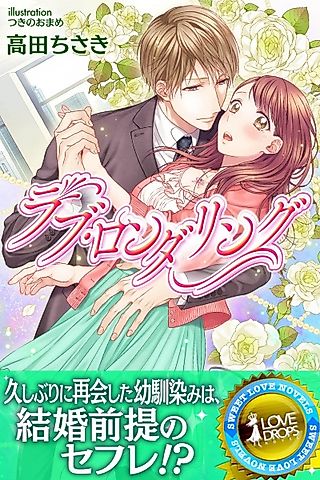 Cover image for the novel called Love Laundering