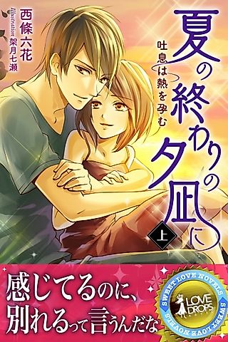 Cover image for the novel called Natsu no Owari no Yuunagi ni: Toiki wa Netsu wo Harem