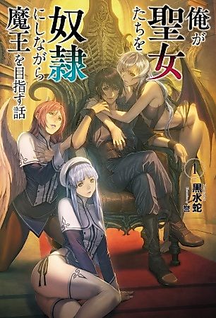 Cover image for the novel called Ore ga Seijo-tachi wo Dorei ni Shinagara Maou wo Mezasu Hanashi