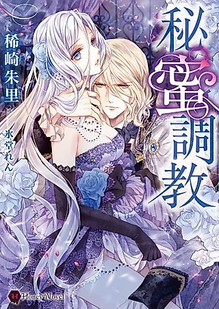 Cover image for the novel called Himitsu Choukyou