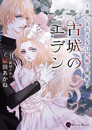 Cover image for the novel called Kojou no Eden: Darenimo Ienai Kyoudai no Himitsu