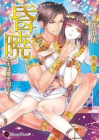 Cover image for the novel called Kongyou: Ou wa Ai wo Shiru