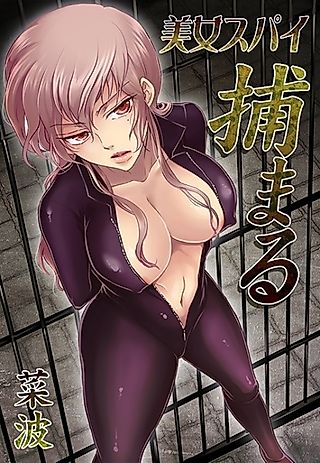 Cover image for the novel called Bijo Spy Tsukamaru