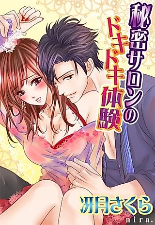 Cover image for the novel called Himitsu Salon no Dokidoki Taiken
