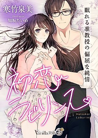 Cover image for the novel called Hatsukoi Labyrinth: Nemureru Junkyouju no Henkutsu na Junjou