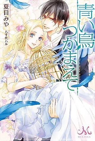 Cover image for the novel called Catch a blue bird.