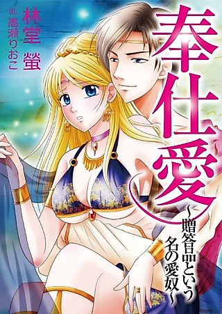 Cover image for the novel called Houshiai: Zoutouhin to Iu Na no Aido