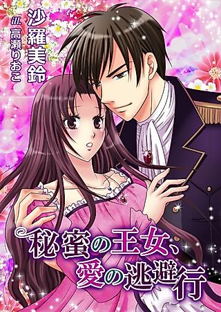 Cover image for the novel called Himitsu no Oujo, Ai no Touhikou