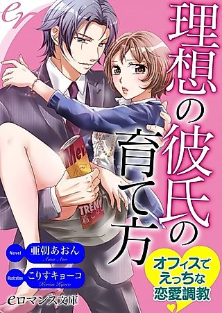 Cover image for the novel called Risou no Kareshi no Sodatekata: Office de Ecchi na Renai Choukyou