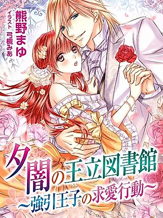 Cover image for the novel called Yuuyami no Ouritsu Toshokan: Gouin Ouji no Kyuuai Koudou