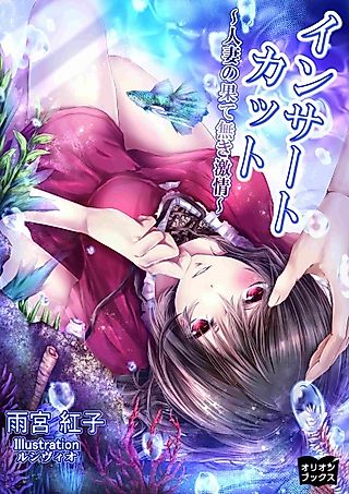 Cover image for the novel called Insert Cut: Hitozuma no Hatenaki Gekijou