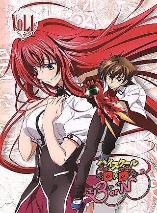 Cover image for the novel called High School DxD EX
