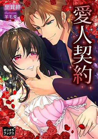Cover image for the novel called Aijin Keiyaku