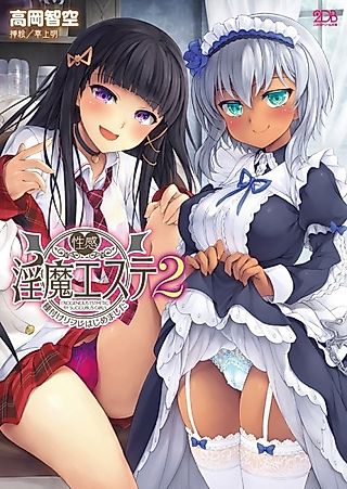 Cover image for the novel called Seikan Inma Esthetic 2: Tanetsuke Refresh Hajimemashita
