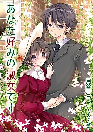 Cover image for the novel called Anatagonomi no Shukujo desu