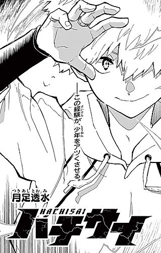 Cover image for the other called Hachisai